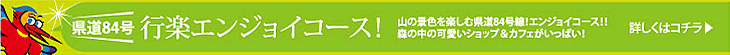 �Գڥ��󥸥祤��������