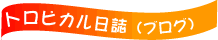 �ǿ��˥塼��