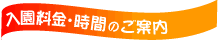 �ǿ��˥塼��